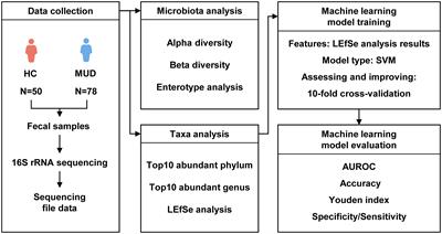 The gut microbiota as a potential biomarker for methamphetamine use disorder: evidence from two independent datasets